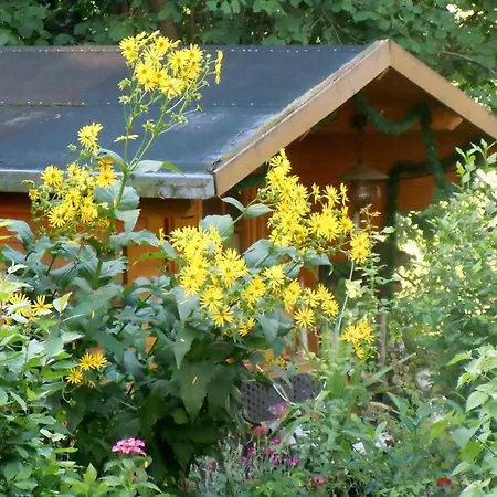 Wohnung-nr-2 * Kirchzarten