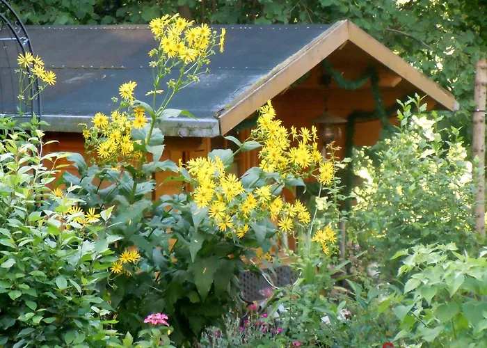 Wohnung-nr-2 * Kirchzarten